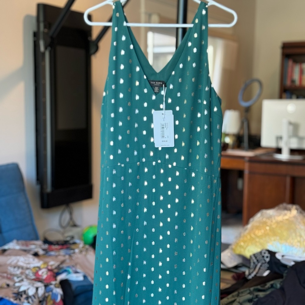NEW Ted Baker Dress